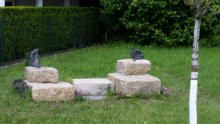 Natur und Garten