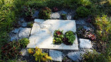 Natur und Garten
