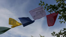 Natur und Garten